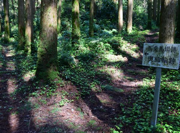 奥に道が続く、看板に「馬乗馬場跡・奥曲輪跡」