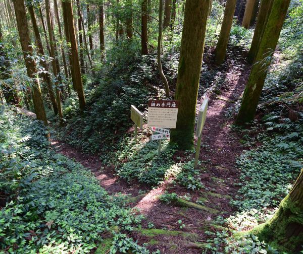 搦手門跡をやや上から見る