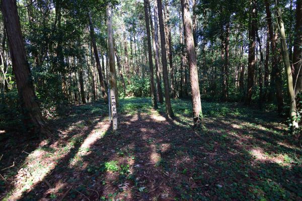 曲輪跡に「二の丸跡」標柱