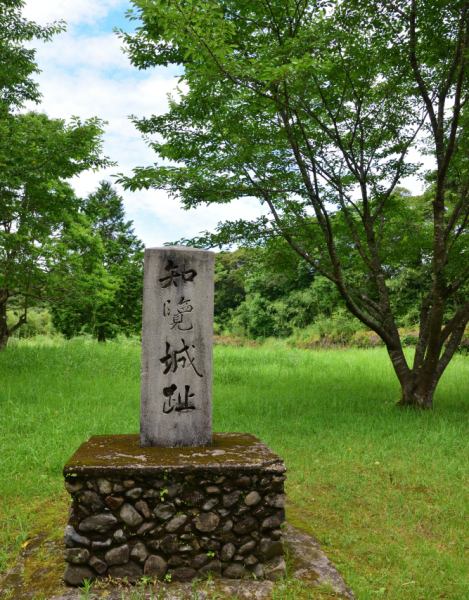 広い曲輪跡に城址碑が立つ
