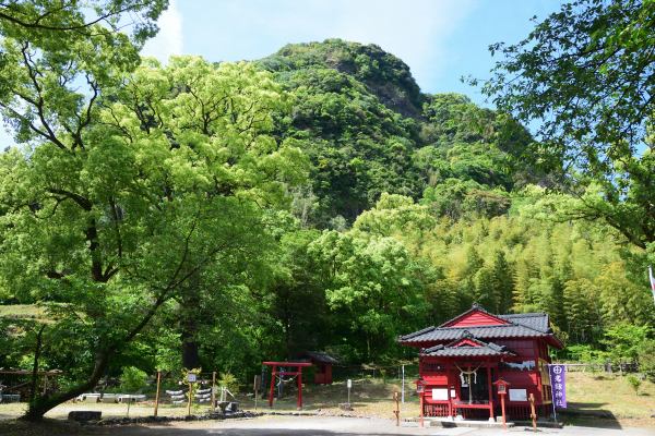 新緑に包まれた神社、背後に城跡の断崖が見える