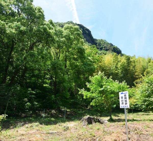 森の中を進むと登山道