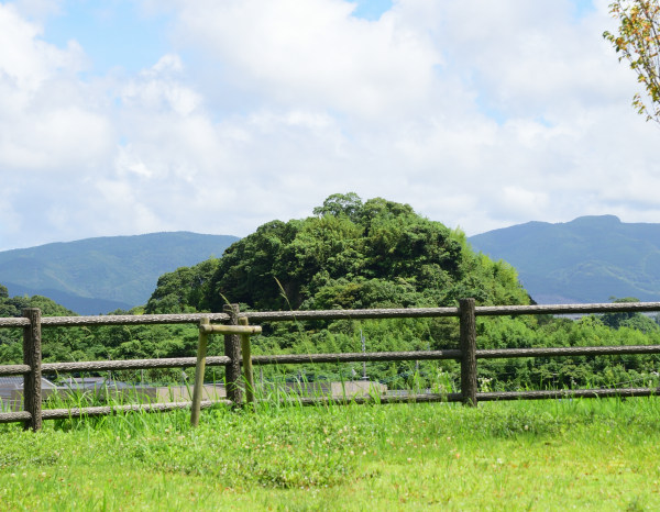 古墳から山城跡を見る