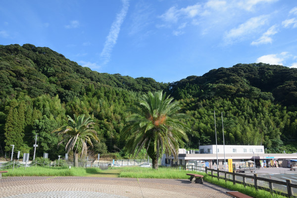 木々に覆われた山城跡