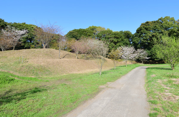 桜咲く遊歩道と曲輪の段差