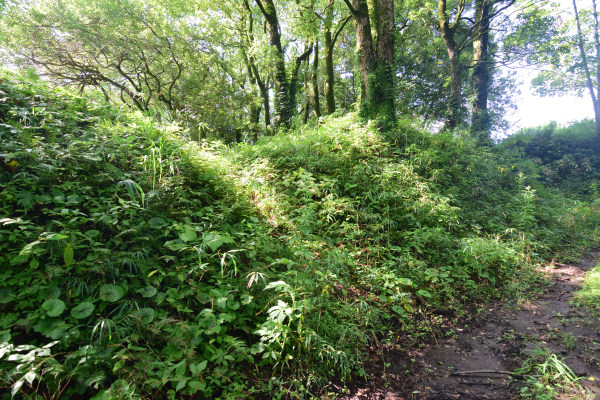 山城跡っぽい段差