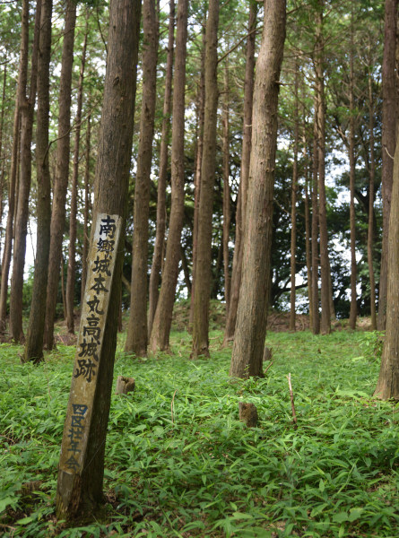 木立の中に「南郷城本丸高城跡」と書かれた板が立てかけてある