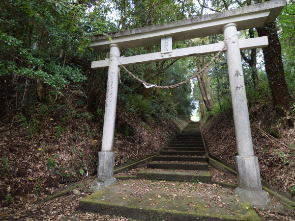 鳥居をくぐって参道を登る、掘り込まれた参道は山城の風情が感じられる