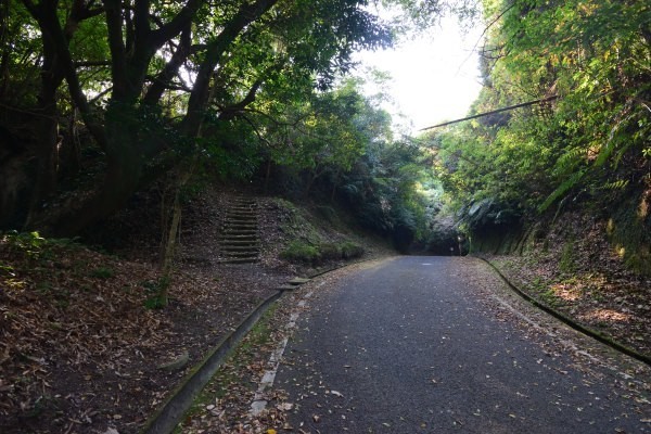 城跡に通る林道