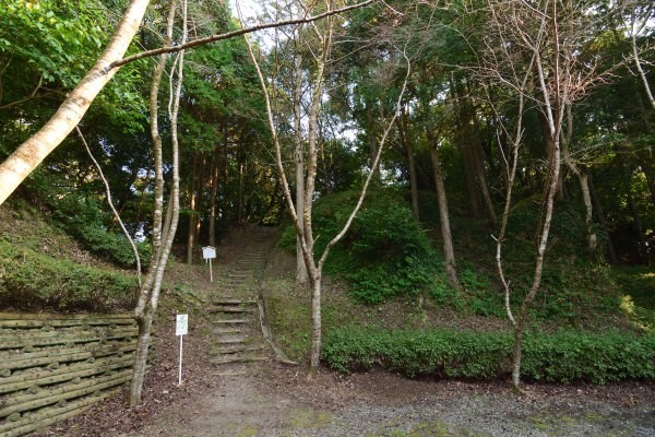 遊歩道を登っていく