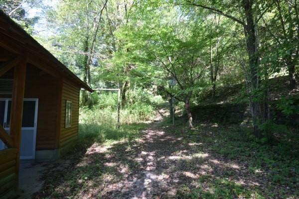 森の中を抜けて山の上へ