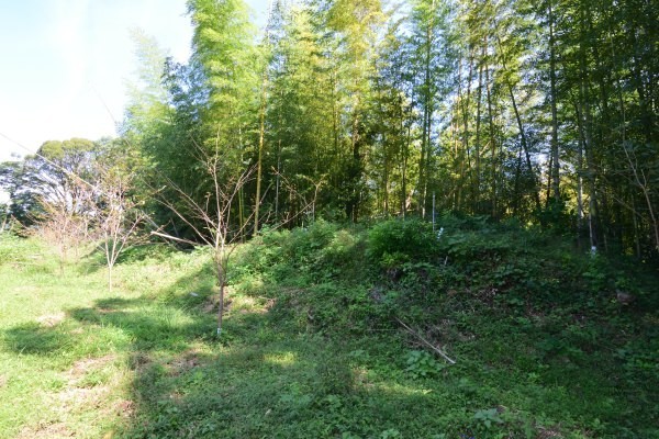 こんもりと土が盛られている