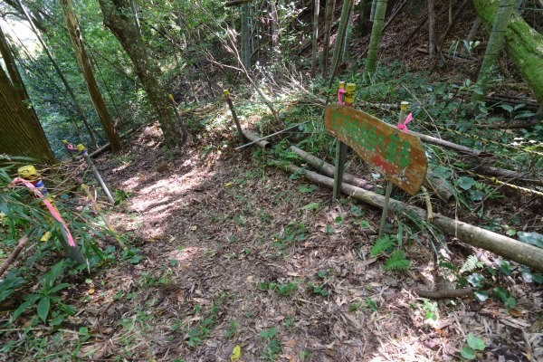 遊歩道と案内看板
