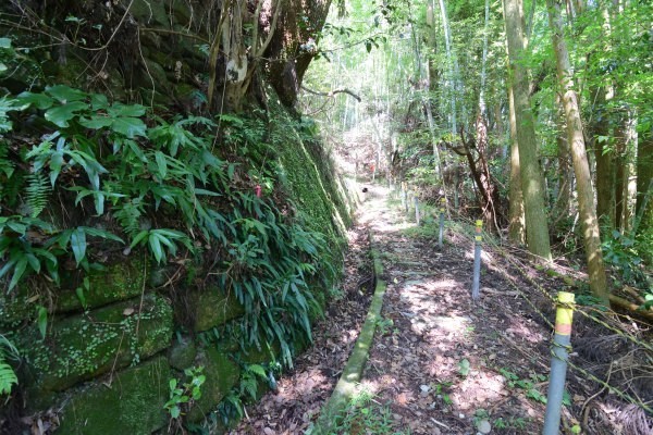 遊歩道の左側に石積みが見える