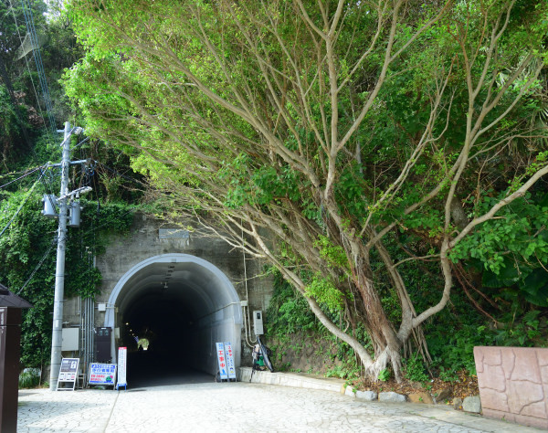 遊歩道の入口はトンネル