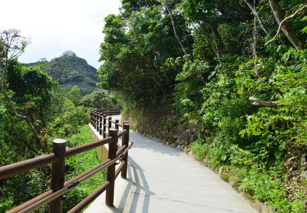 岬の遊歩道