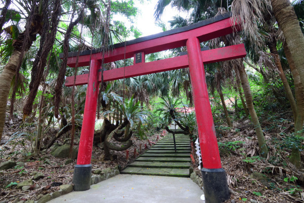 赤い鳥居と南国風の木々