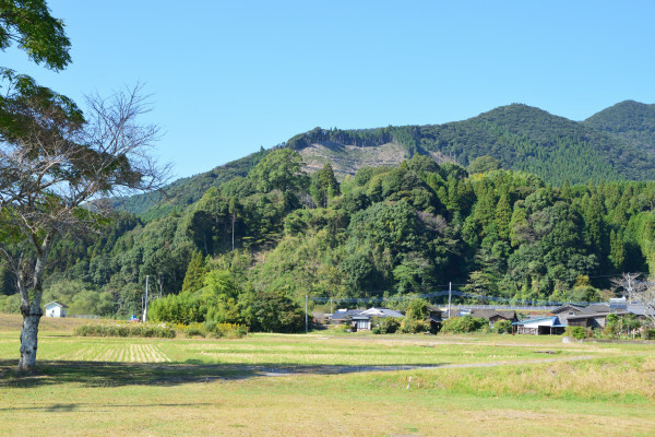 緑に覆われた山城跡