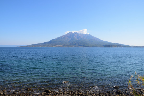 晴天の下の桜島