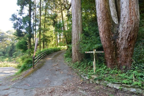 山城跡の登山道