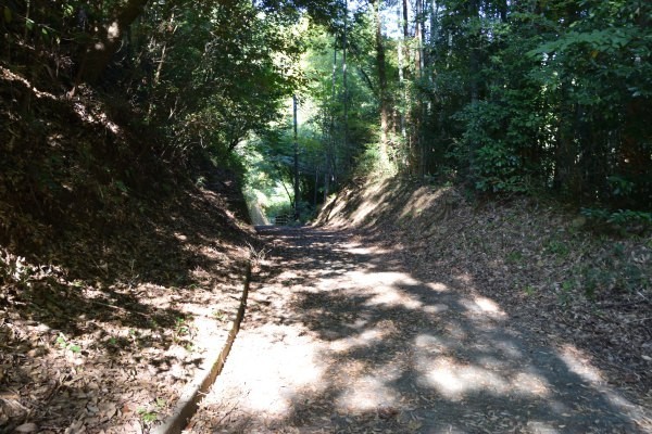 掘り込んだ山道