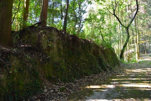 山道の整地されたところ