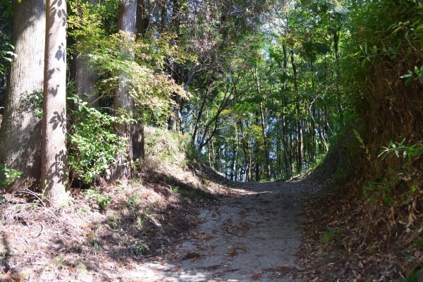 掘り込んである山道を