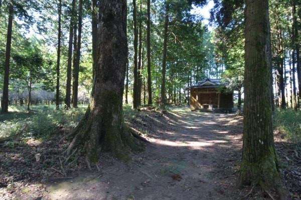 山の中の神社