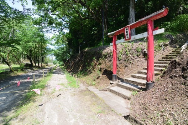 参道と赤い鳥居