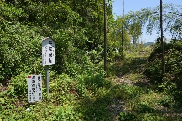 山城跡に緑が覆う