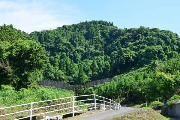 樹木が茂る山城跡