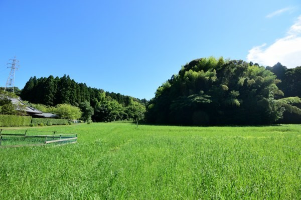 田んぼの向こうに山城跡