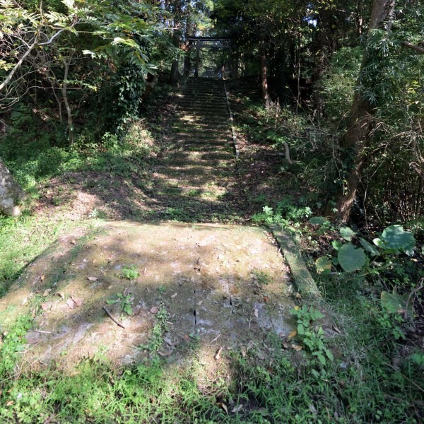 古さを感じる神社の参道