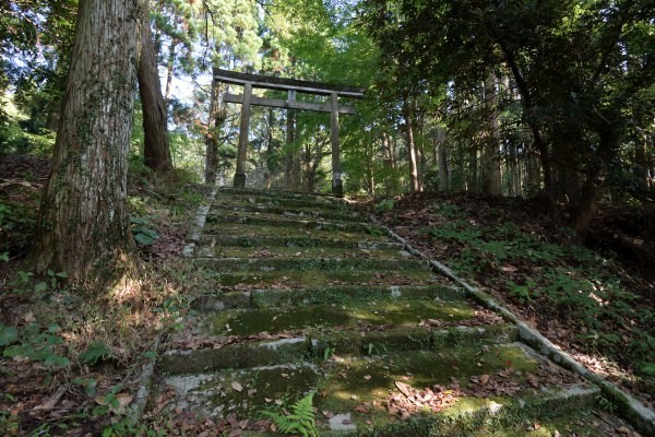 石段を登って鳥居をくぐる