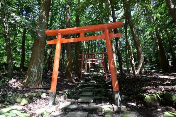 鳥居が並ぶ参道