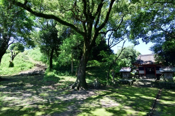 神社の境内