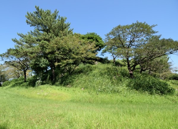 城山公園の丘