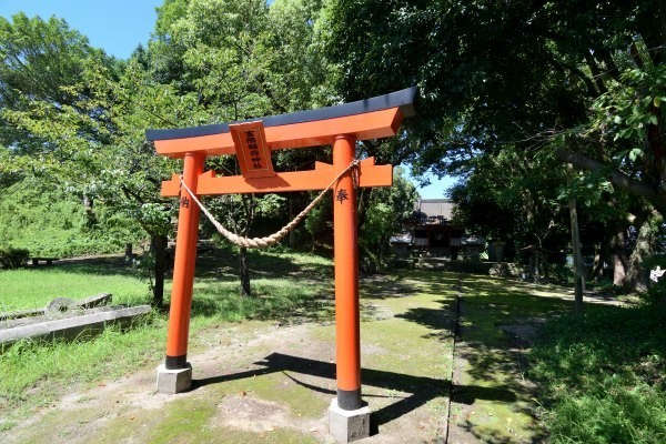 鳥居と社叢と社殿