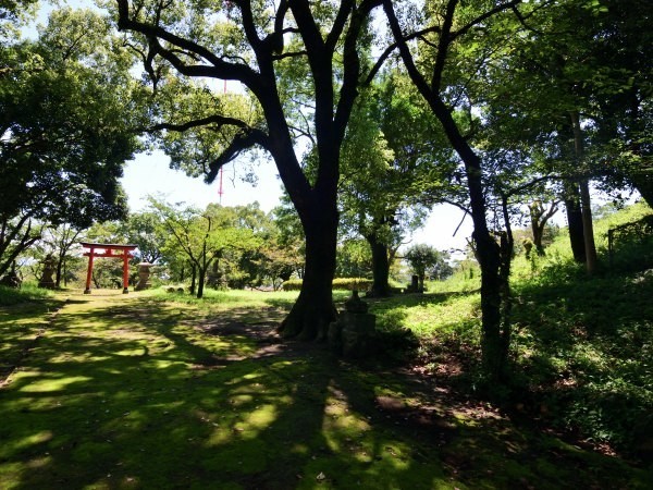 稲荷神社の境内