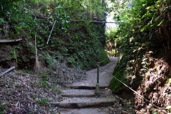 深く掘り込んである