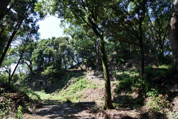 大きな山がある