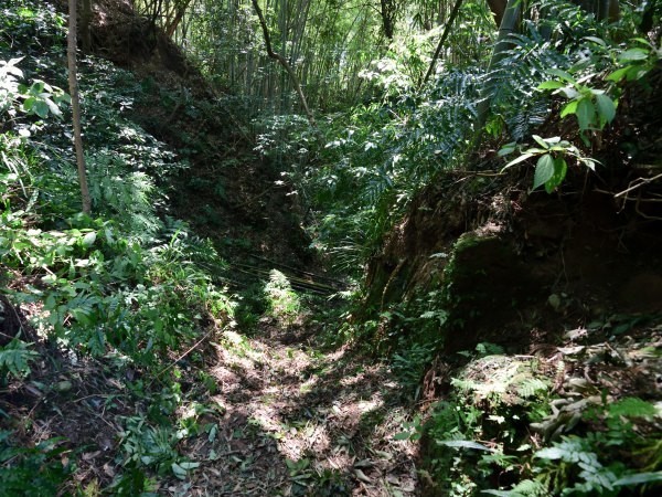 掘り込まれた地形