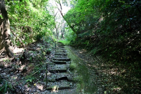 山城跡の登山道