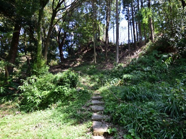 山をのぼっていく