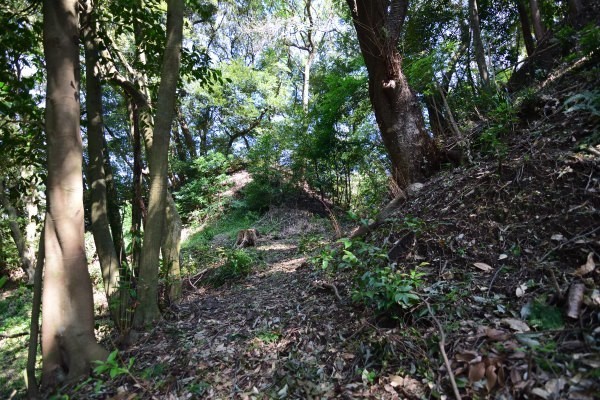 山中の曲輪っぽい地形