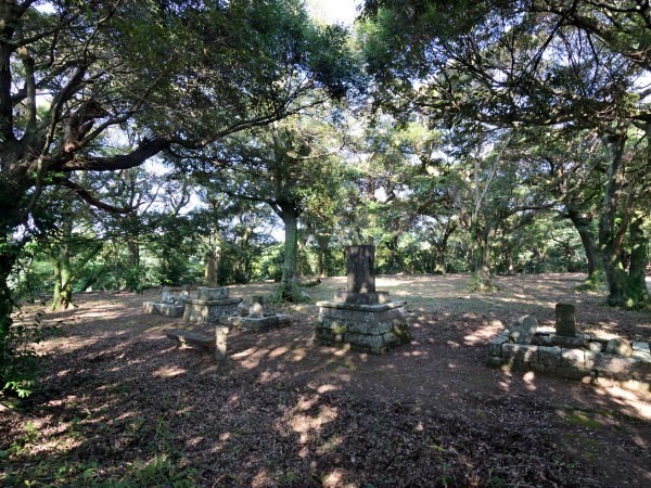 木々のあいまに石碑が並ぶ、古城の風景