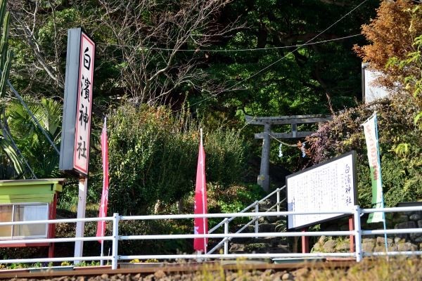 線路の向こうに神社がある