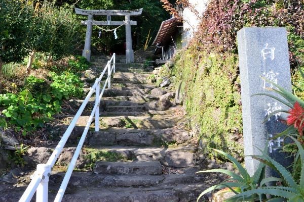 石段をあがって鳥居をくぐる