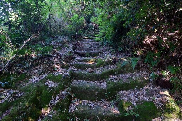 参拝者が踏みしめた道
