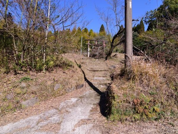 冬枯れの神社境内